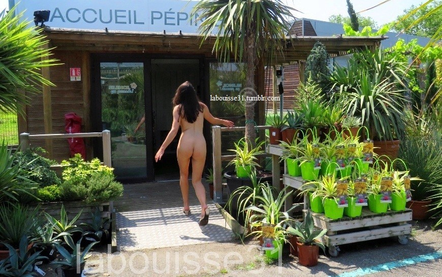 labouisse31:  Pépinière 1 ©