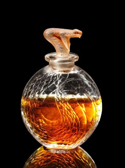 marylibra: “Serpant” perfume bottle 1920  R. Lalique 