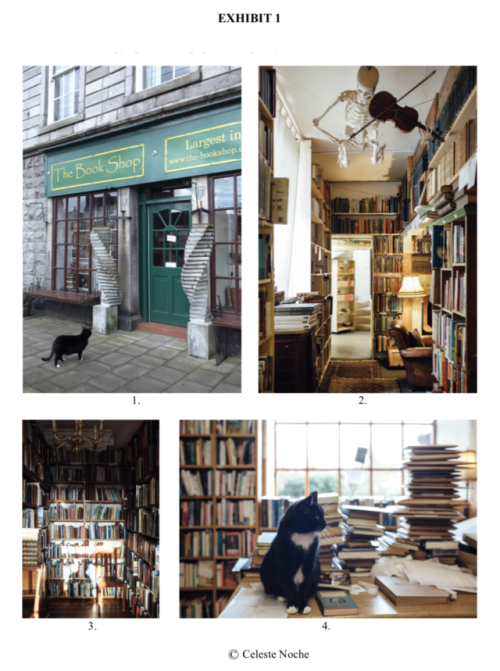 extracelestial: the end of september marks an entire year that Profile Books and The Bookshop have p