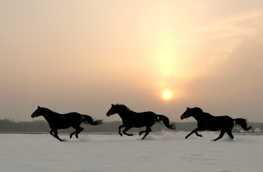 old-hopes-and-boots:  by Austėja Liupševičiūtė 