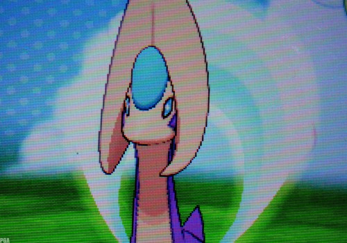 pokemon-global-academy:   During my doctor appointment I decided to try soft resetting for Cresselia and after 10 soft resets this goddess appeared! But I struggle so much to catch it since my battery was dying and I have 4 little kids trying to grab