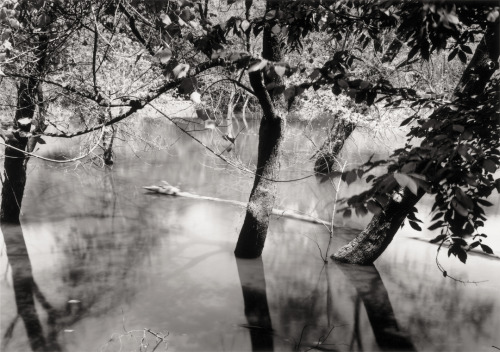 Thomas Joshua Cooper - Drowned Trees along the Mississippi, from the Source to the Sea—Hot Afternoon