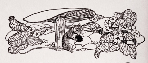 William Andrew Pogány (1882-1955), “A Treasury of Verse for Little Children” by M. G. Ed
