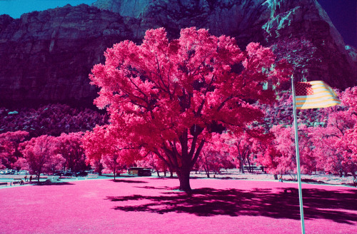 The Great American Southwest in Infrared (October 2013) Kodak EIR