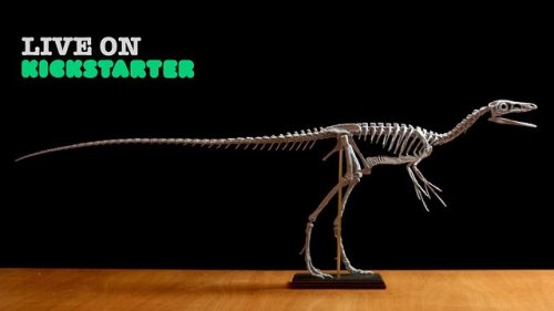 The life-size Compsognathus skeleton I did for Triassica.  Zbrush + Anycubic Photon https://triassic