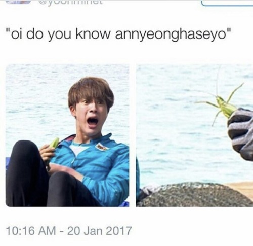googlebts: This is priceless