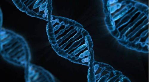 An Ancient Retrovirus Has Been Found In Human DNA – And It Might Still Be Active