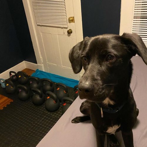 “Dogs and kettlebells: pretty much sums me up”. Thanks for your share @silver.kettlebell