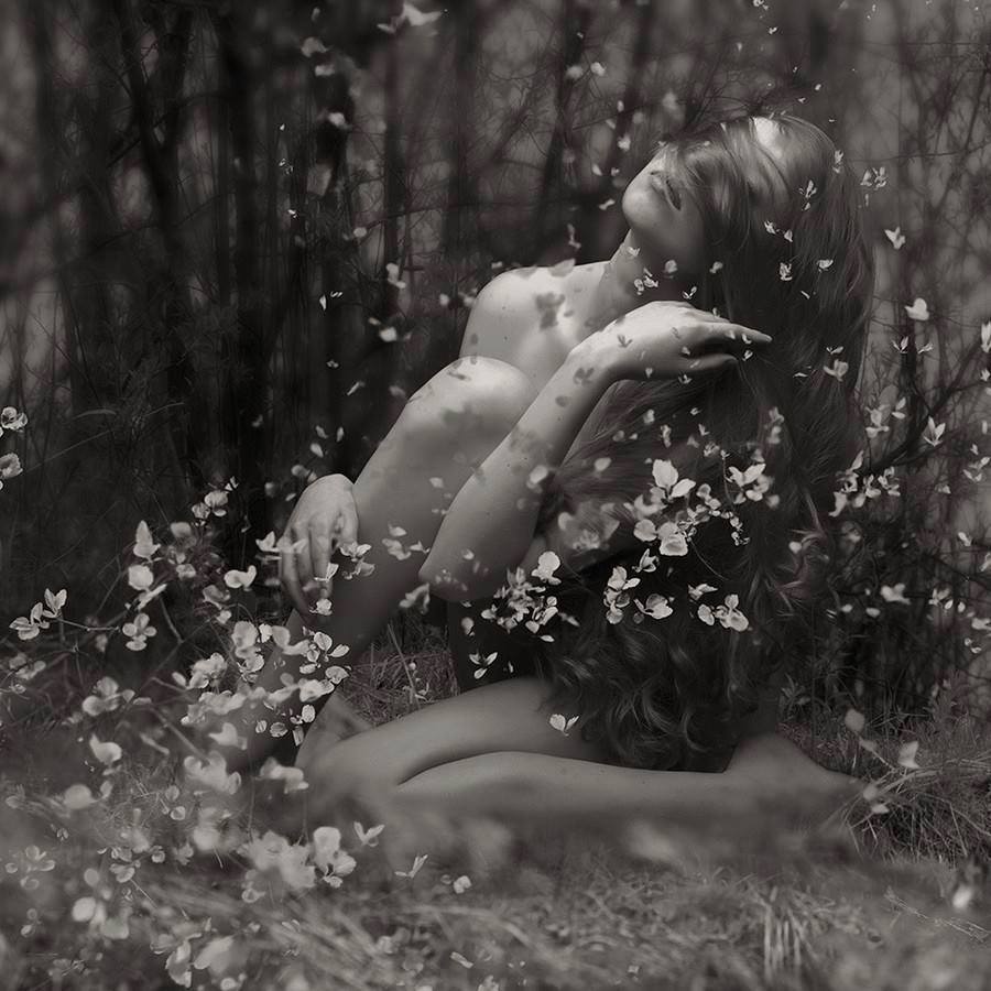 womanbelievedinlove:  The secret of life is not having everything you want, but love