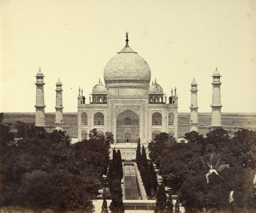 fawnvelveteen: Felice Beato, The Taj Mahal from the entrance gateway, 1859