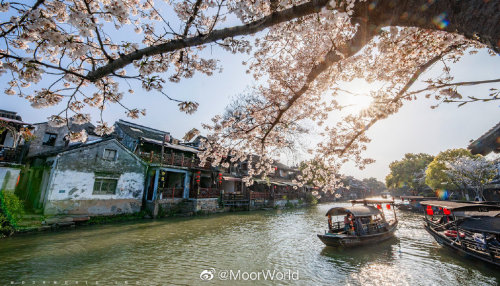 fuckyeahchinesegarden:西塘 xitang, jiaxing, zhejiang province by MoorWorld