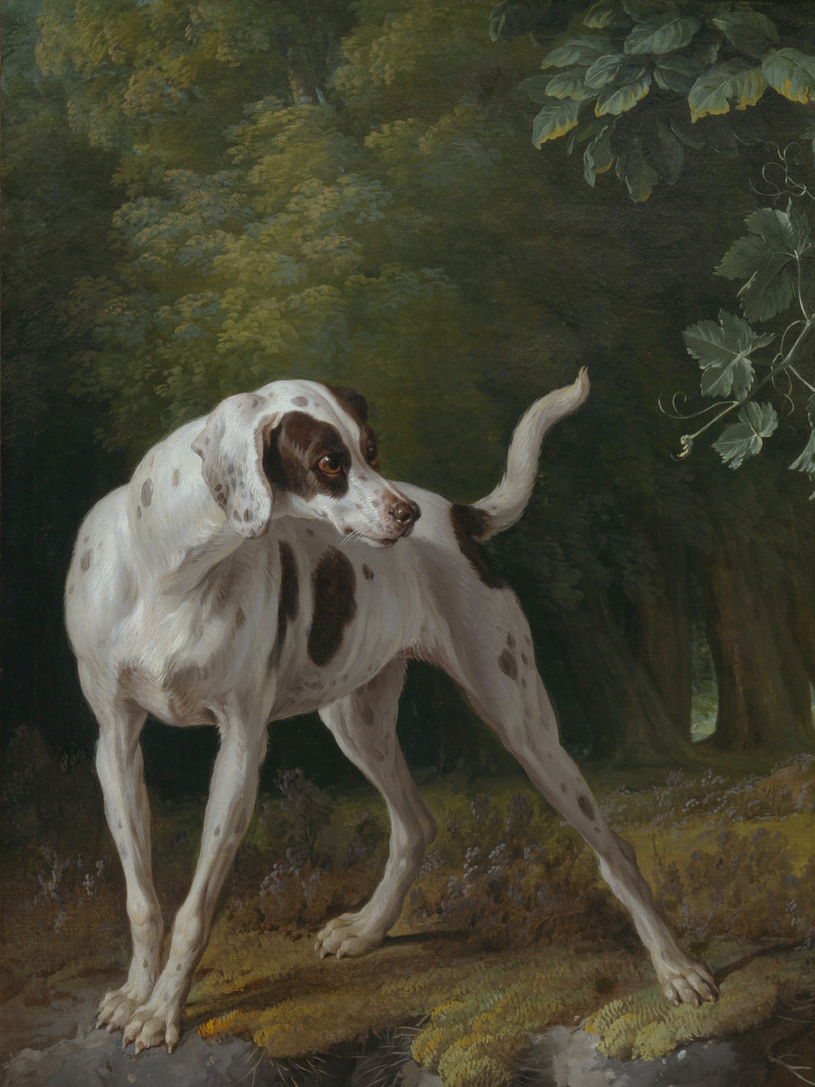 Dog Pointing Partrideges in a Landscape (detail) - Alexandre François Desportes - 1719 - via Los Angeles County Museum of Art