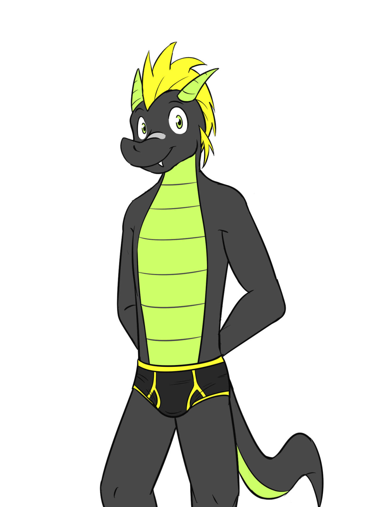 The different iterations of Fuze.  Started out as a pegasus, back when I was ‘really’
