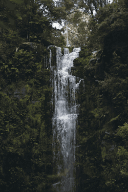 optically-aroused: by Jaccob McKay Instagram