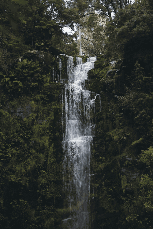 optically-aroused:  by Jaccob McKay Instagram | Tumblr | Facebook