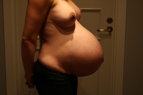 stonerpreggolover:  Mmm…Pregnant Progression!