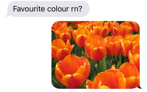 hhadess:whenever I’ve had a particularly bad day my friend will ask me what my favourite colour is b