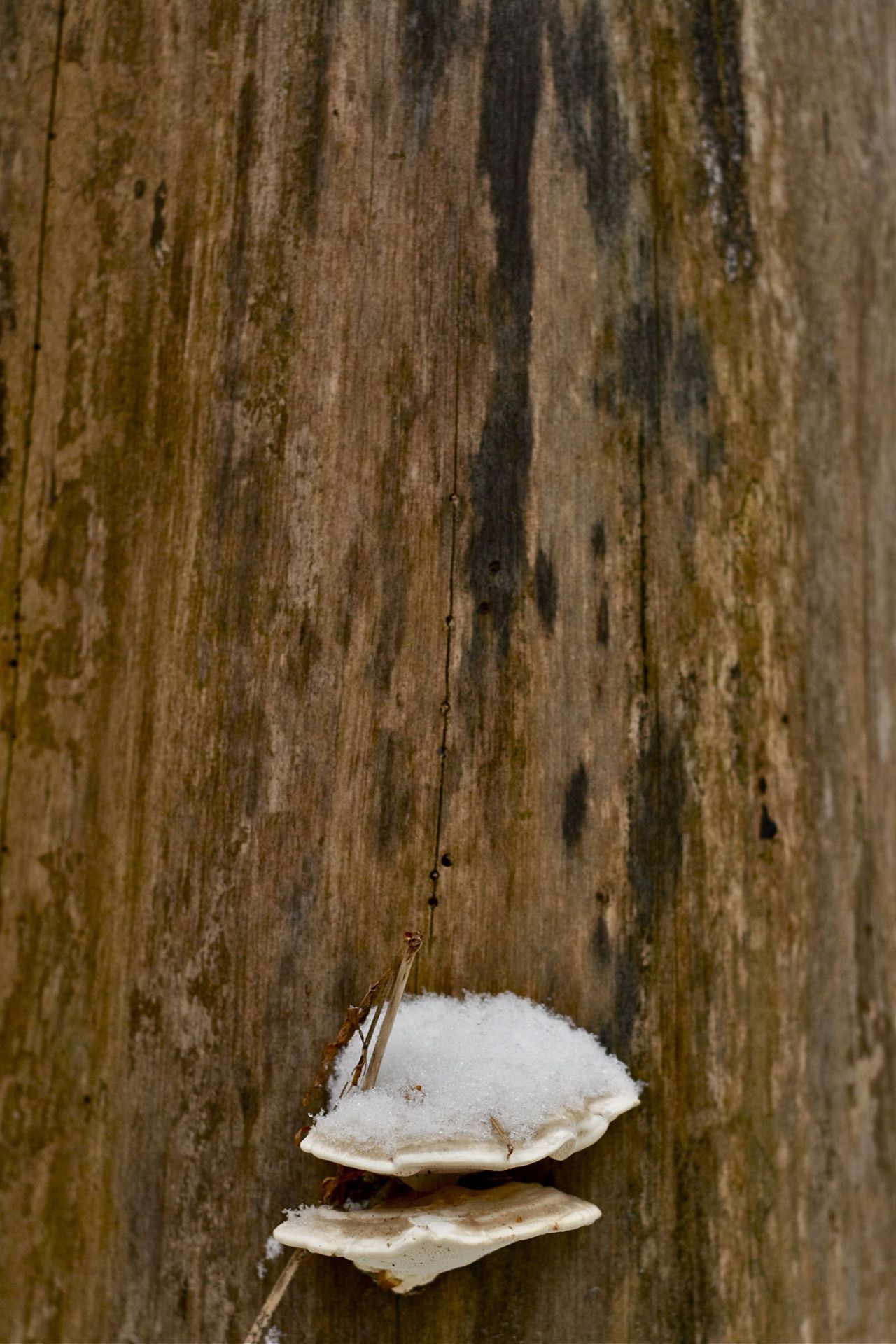 Simplicity. Love the days that we wander.  Photos by yours truly. 