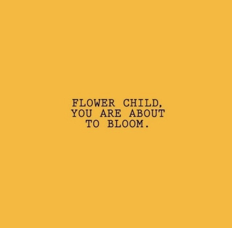 Yellow Aesthetic