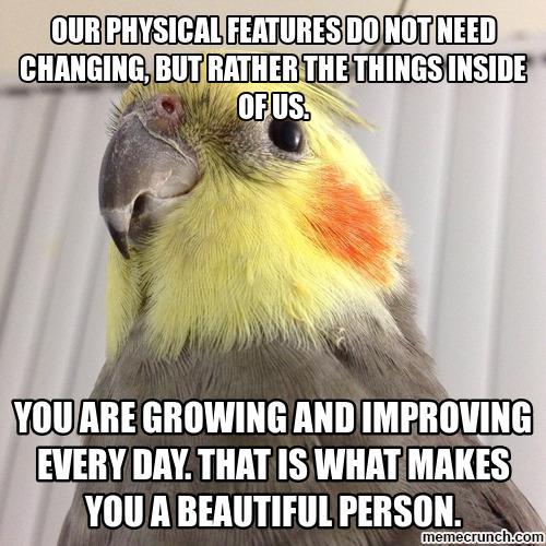 pepperandpals:spooky-valkyrie:Supportatiel posts! FEEL SUPPORTED! Because Supportatiel loves you.Fel