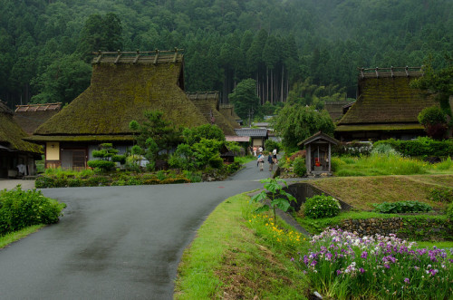 uroko:Miyama, Kyoto / 美山（京都）