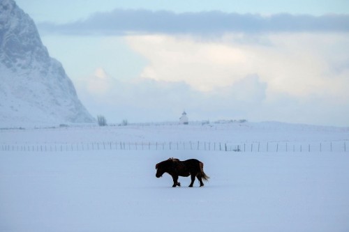 bobbycaputo: Extreme Surfing On Arctic Circle | Olivier Morin Surf instructor Tommy Olsen monitors h