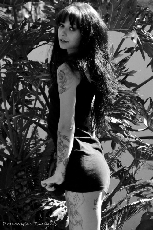 provocativethoughts:  Provocative Thoughts - a little black dress.