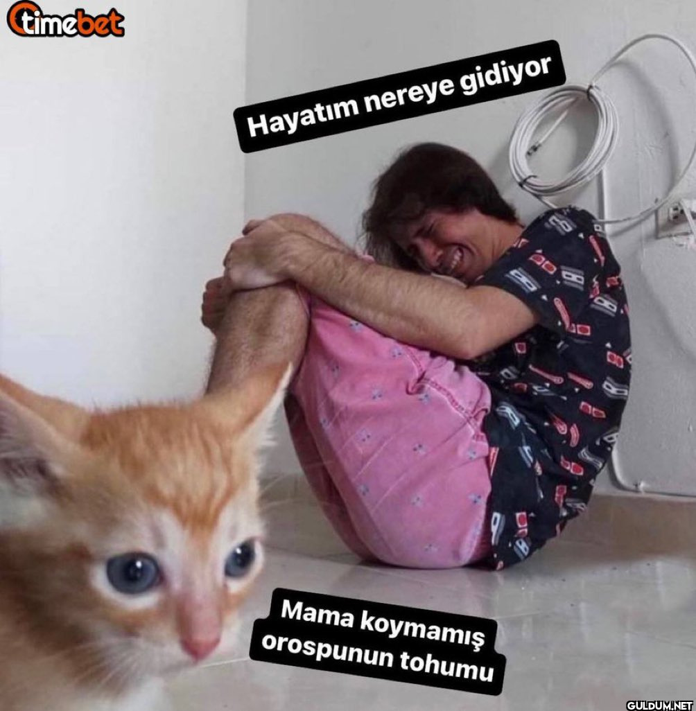 timebet Hayatım nereye...