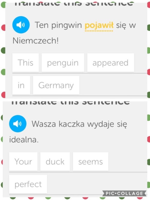 onlyusefulphrases: Some absolute gems, straight outta Poland.