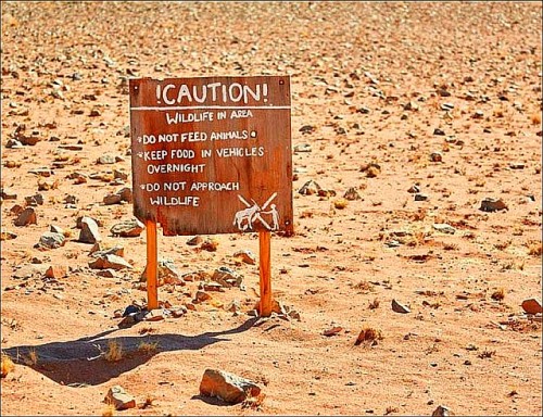 35000 Hectares Of Beautifully Preserved Landscape In The Namib Desert Is A Photographers Paradise. With