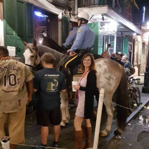 Police horses go right up to the bar for snacks on #bourbonstreet in #NewOrleans @carolanddavid #The