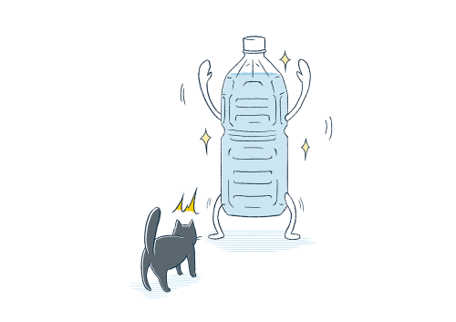 猫と水入りペットボトルのゆるい対面 イラストエッセイのaieku