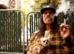 dogsandtheirbuddies:  Danny Trejo