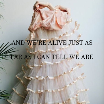 theartoftootimingyou
