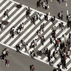 10 Shibuya Square,  Tokyo