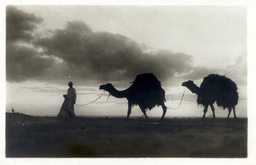 foundinanattic:“Eventide in the Desert”, c. 1920s