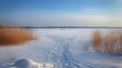 tomipajunen: February day and evening