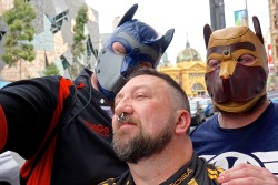 bearconcentrate:Love this pic of Primus, Alpha and Sir. Really show’s the mrsleather pup hoods off well.