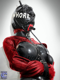 Raising a rubberdoll