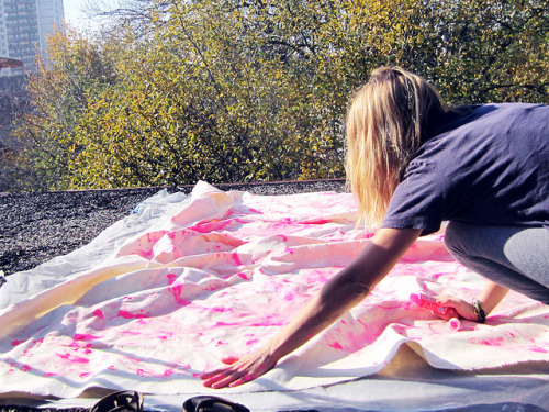 andwhatalicesaw: PINKDYE.03 by Scout &amp; Catalogue on Flickr.