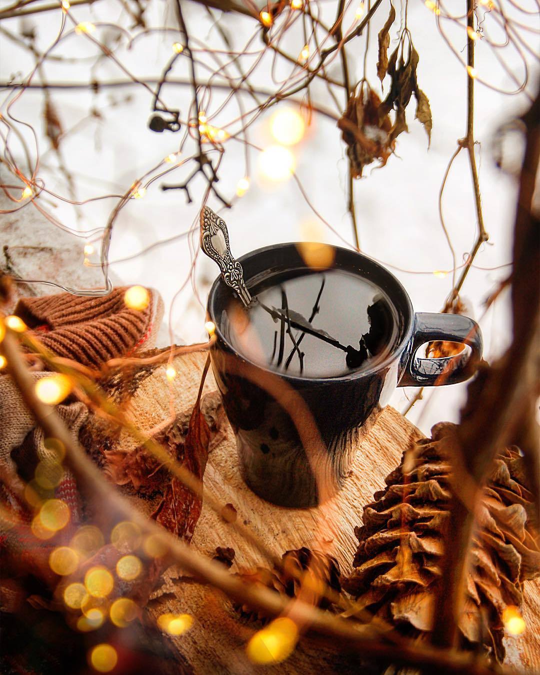 autumncozy:By alenadanko