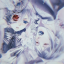 sbclreblogs