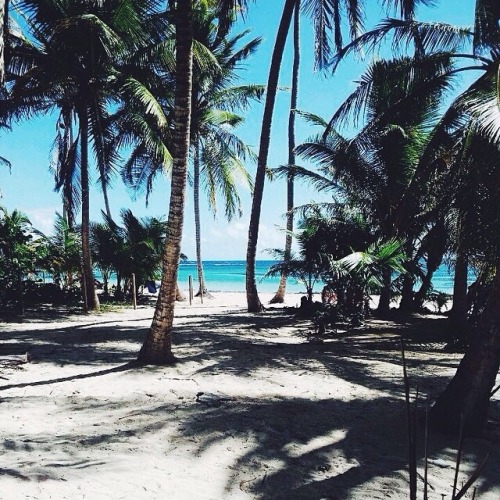 OCEAN DRIVE