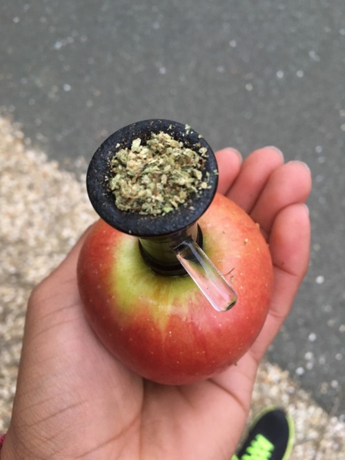 hiwazowskiadventures: “Every 3 months, smoke out of an apple”- My advice for variety with your happi