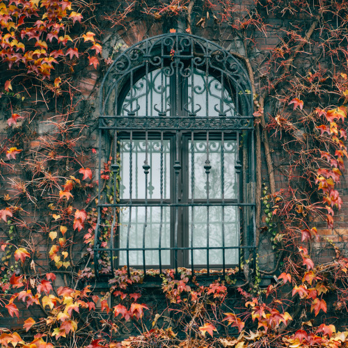 pani-lisowa: Some shots from my short trip to Wrocław. It’s the third largest city in Poland a