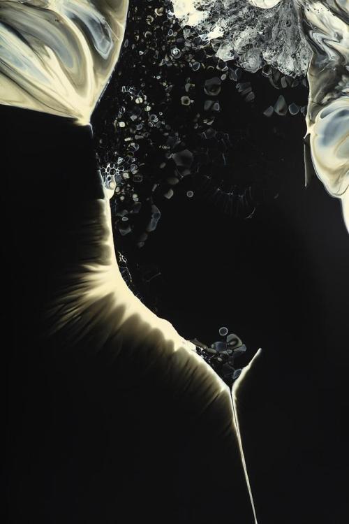 The Petri Dish Project - Magic Leap 03 / By J.D Doria / Photography Shaw Gadi Raz /  September 2018 