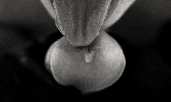 mymmm:  Capturing that droplet on my tongue. 