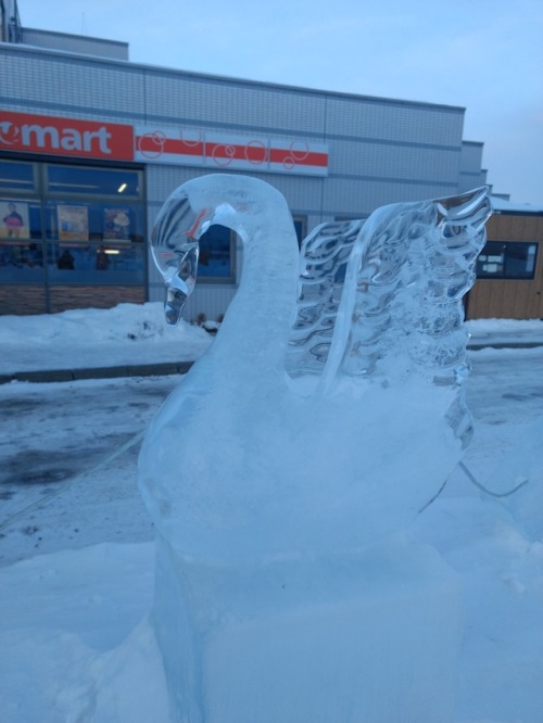 previews of the drift ice festival that starts tomorrow