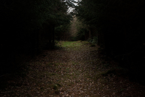Path / Dead End by sszdl on Flickr.