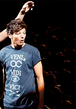  Louis’ Reaction When Zayn Threw A Fans Phone Into The Crowd (+) 